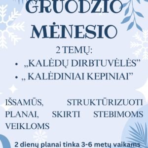 Gruodžio mėnesio 2 temų išsamūs veiklos planai (WORD)