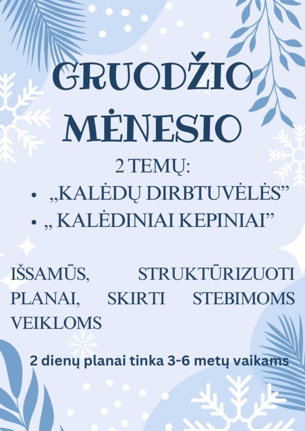 Gruodžio mėnesio 2 temų išsamūs veiklos planai (WORD)