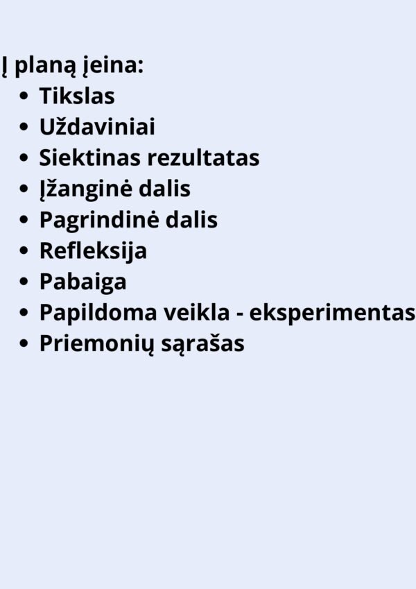 Gruodžio mėnesio 2 temų išsamūs veiklos planai (WORD) - Image 2