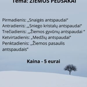 SAVAITĖS VEIKLŲ PLANAS 1-3 METŲ VAIKAMS TEMA - ,,ŽIEMOS PĖDSAKAI" (WORD)