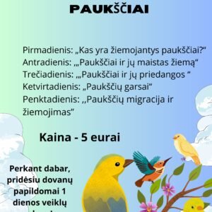 SAVAITĖS VEIKLŲ PLANAS  3-5 METŲ VAIKAMS TEMA - ,,ŽIEMOJANTYS PAUKŠČIAI" (WORD)
