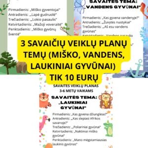 3 SAVAIČIŲ VEIKLŲ PLANŲ TEMŲ (MIŠKO, VANDENS, LAUKINIAI GYVŪNAI) (WORD, 68 P.)