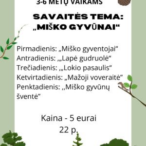 Savaitės VEIKLŲ PLANAS  3-6 METŲ VAIKAMS  Savaitės Tema: „Miško gyvūnai“ (WORD, 22 P.)
